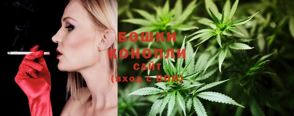 сатива Кулебаки