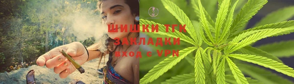 сатива Кулебаки
