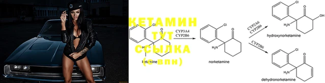 сатива Кулебаки