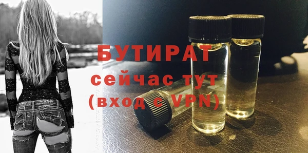 сатива Кулебаки