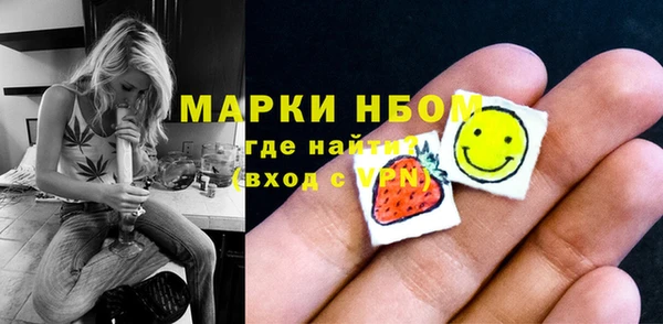 сатива Кулебаки