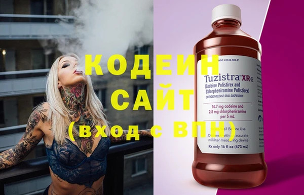 сатива Кулебаки