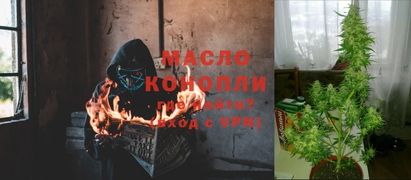 сатива Кулебаки