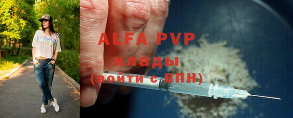 сатива Кулебаки