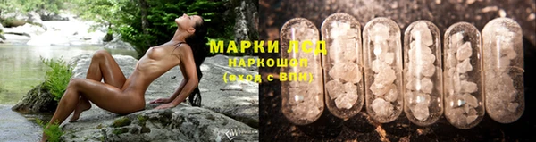 сатива Кулебаки