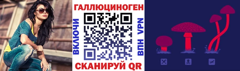 Псилоцибиновые грибы MAGIC MUSHROOMS  Купить закладки  Ишимбай 